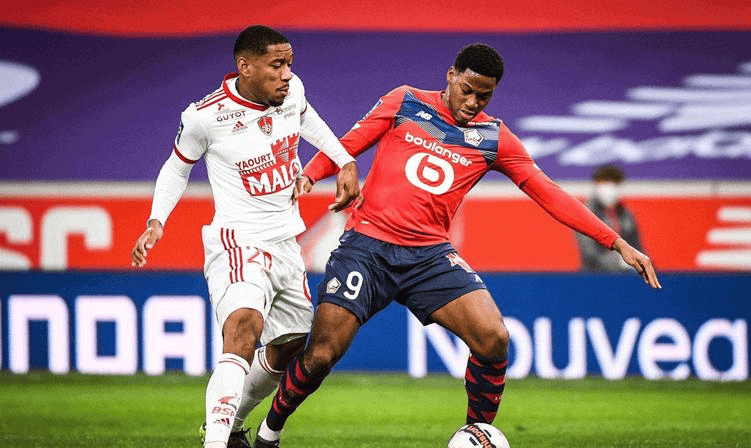 力的肯定 力的肯定