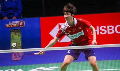 体系与搭档 体系与搭档